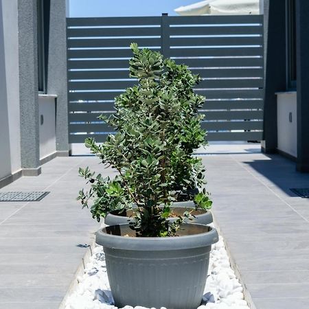 Katakis Luxuryvillas Chania  Eksteriør billede